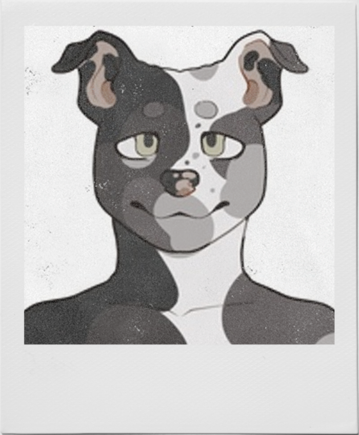 Polaroid art of a anthropomorphic black and white pitbull.